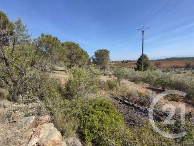 terrain à vendre - 7120.0 m2 - SALSES LE CHATEAU - 66 - LANGUEDOC-ROUSSILLON - Century 21 Plaine Du Roussillon