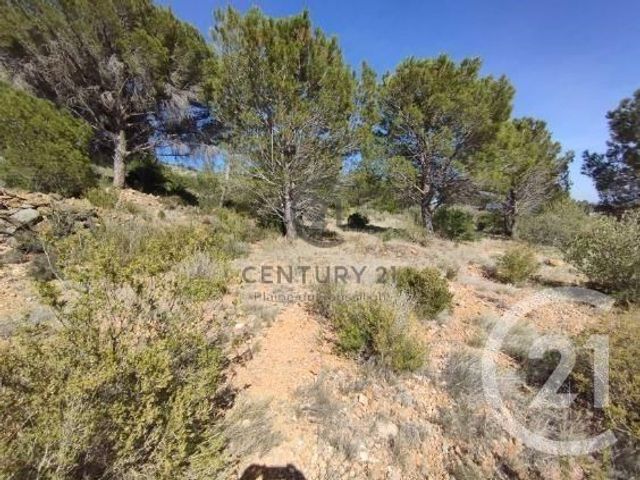 terrain à vendre - 7120.0 m2 - SALSES LE CHATEAU - 66 - LANGUEDOC-ROUSSILLON - Century 21 Plaine Du Roussillon