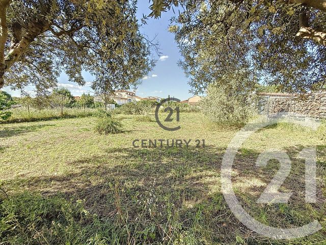 Afficher la photo en grand maison à vendre - 5 pièces - 150.0 m2 - PIA - 66 - LANGUEDOC-ROUSSILLON - Century 21 Plaine Du Roussillon