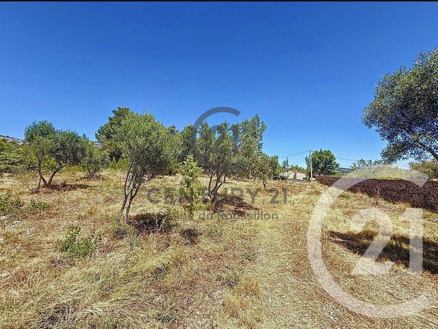 terrain à vendre - 7436.0 m2 - OPOUL PERILLOS - 66 - LANGUEDOC-ROUSSILLON - Century 21 Plaine Du Roussillon