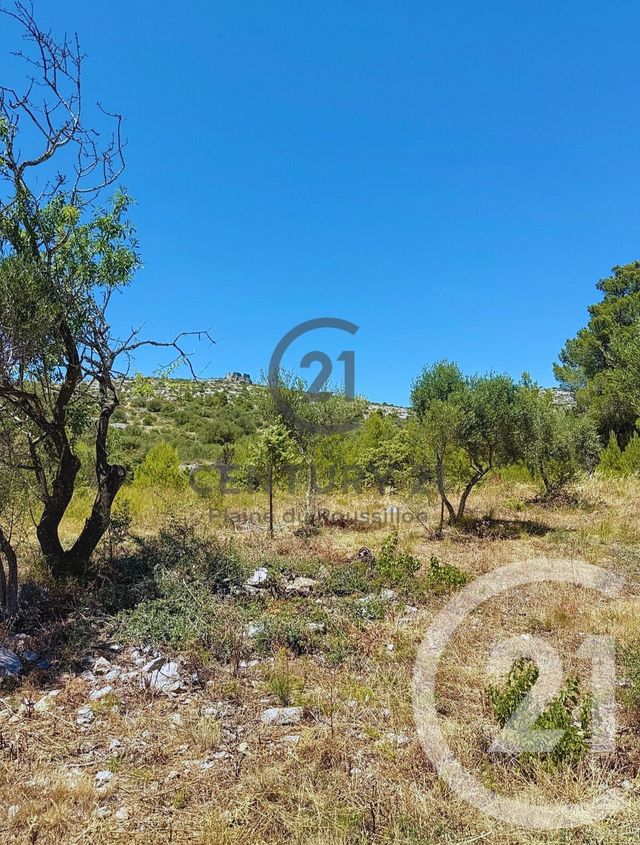 terrain à vendre - 7436.0 m2 - OPOUL PERILLOS - 66 - LANGUEDOC-ROUSSILLON - Century 21 Plaine Du Roussillon