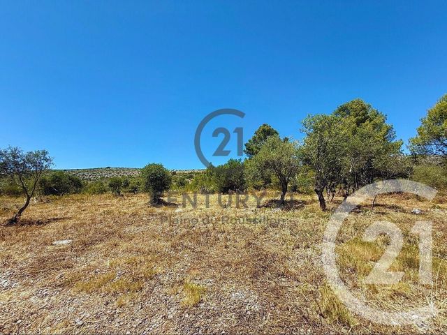 terrain à vendre - 7436.0 m2 - OPOUL PERILLOS - 66 - LANGUEDOC-ROUSSILLON - Century 21 Plaine Du Roussillon