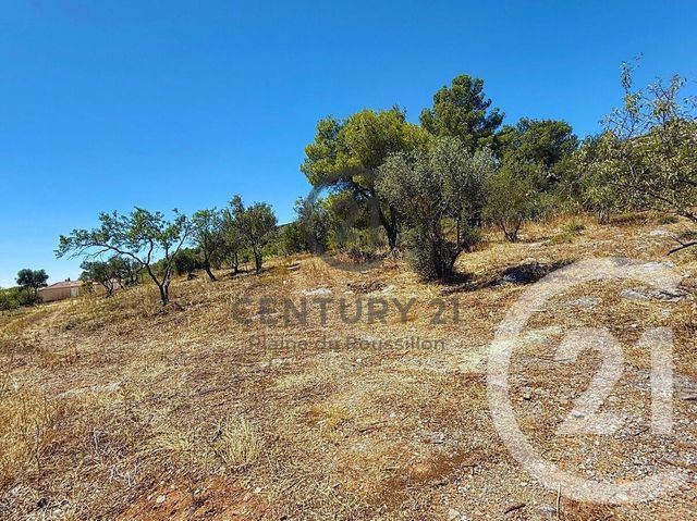 terrain à vendre - 7436.0 m2 - OPOUL PERILLOS - 66 - LANGUEDOC-ROUSSILLON - Century 21 Plaine Du Roussillon