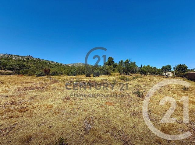 terrain à vendre - 7436.0 m2 - OPOUL PERILLOS - 66 - LANGUEDOC-ROUSSILLON - Century 21 Plaine Du Roussillon