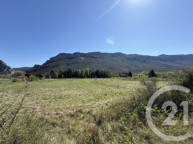 terrain à vendre - 1443.0 m2 - ST PAUL DE FENOUILLET - 66 - LANGUEDOC-ROUSSILLON - Century 21 Plaine Du Roussillon